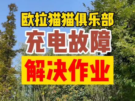 充电12小时没冲进去电!各种方法都试过了,最后打400又找本地售后工程师电话沟通才解决掉,希望可以帮到你@DOU+小助手 #热门 #我要上热门 #欧拉 #欧拉好猫 #欧拉黑猫 #欧拉撸猫大行动