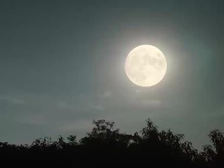 【蛐蛐叫】助眠放松自然之声 #蟋蟀叫 #蛐蛐叫声 #蟋蟀叫声助眠 #助眠 #ASMR #治愈 #自然 #夜晚 #乡村 #白噪音