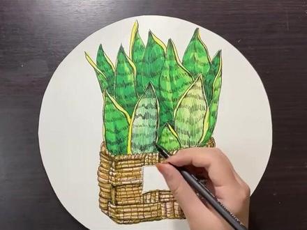 【线描虎尾兰】|少儿基础#与你共画 #画画 #手绘 #少儿美术教育 #创意美术 #艺术 #零基础学画画