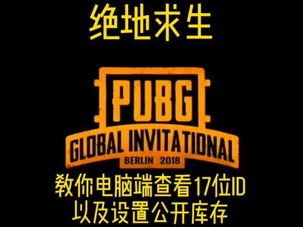 库存设置公开以及17位查看方法#吃鸡 #pubg #绝地求生
