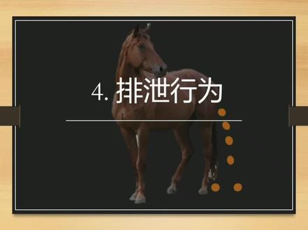 这一期的配图比较抽象,不敢上真图,怕恶心到大家 #马 #涨知识 #分享