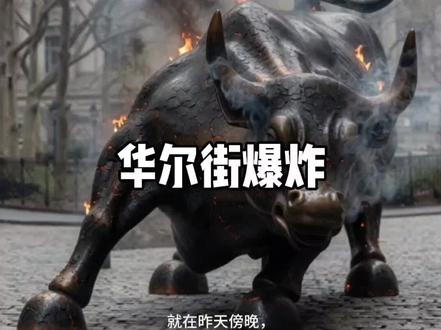 (视频资料来源于网络)华尔街爆炸