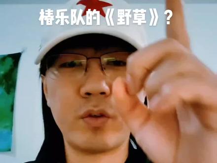 如何评价椿乐队的《野草》?#椿乐队 #椿乐队野草 #中国摇滚 #摇滚 #乐评计划