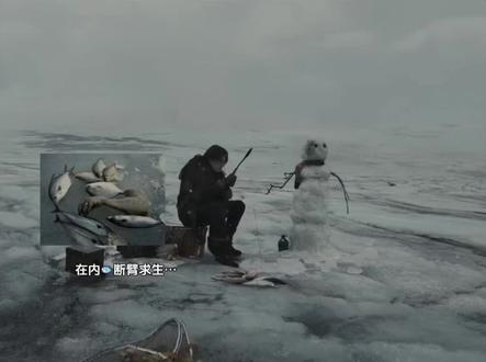 看到了这样的解读,泪了#蔡徐坤 #蔡徐坤新专辑kun