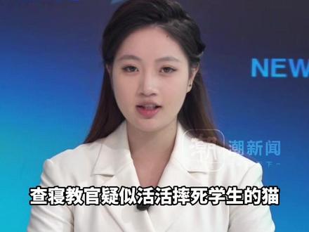 湖南一职校学生将猫带入宿舍,查寝教官活活将猫摔死?“是他自己同意的 猫主任在这里”,教体局:已经介入调查,若属实会立即处理