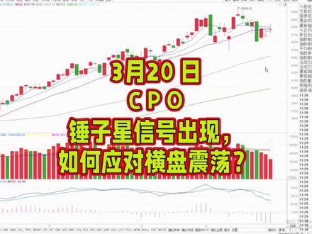 C P O 还会调整么?