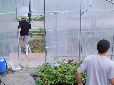 在这伤感的一期里面找点快乐,哈哈哈哈哈哈哈哈哈哈,十个勤天的董事们就是会整活儿#赵一博 #王一珩#鹭卓#何浩楠 #种地吧