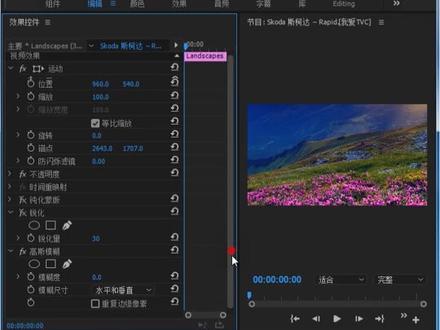 #零基础学pr 【钝化蒙版、锐化和高斯模糊】#pr教程