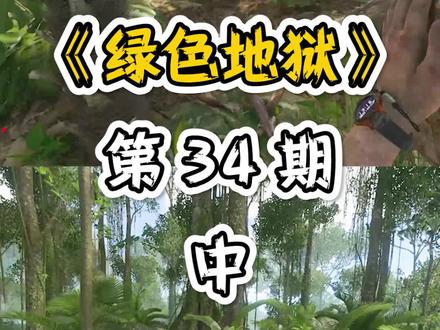 每天一个去世小技巧#绿色地狱