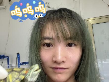 #陈佳佳爬行动物病例连更 #巴西龟肺炎 四肢无力+频繁张嘴呼吸