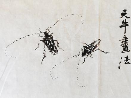 天牛画法示范#热门#国画#国画教程 #学画画#网课#写意花鸟#艺术 #日常#生活#昆虫@抖音小助手 @头条有料