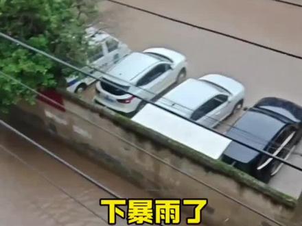 湖北多地下暴雨,车子都快泡了
#大暴雨引发的水漫大街 #暴雨大雨现场情况展示 #新能源车使用体验 #暴雨积水现场 #雨中新能源车