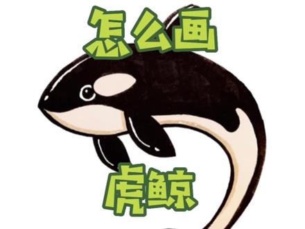 入门简笔画,儿童简笔画,虎鲸,鲸鱼 #简笔画 #简笔画教程 #儿童简笔画 #可爱简笔画 #画画 #鲸鱼简笔画 #虎鲸简笔画 #亲子简笔画