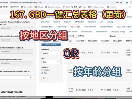 167. GBD一键汇总表格(更新)