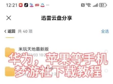 保卫向日葵梦游社下载教程