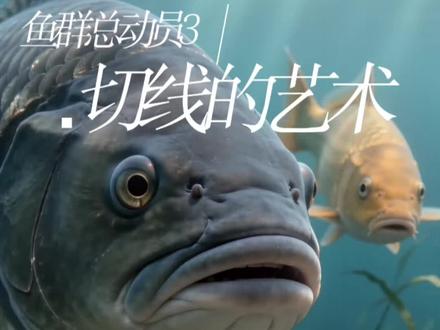 鱼群总动员3·切线的艺术#钓鱼人的快乐 #钓鱼那些事 #户外钓鱼 #钓鱼人就是这么疯狂 #玉米窝料