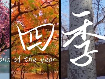 1分钟学会文字分屏效果 #零基础学剪辑 #剪辑教程 #剪辑技巧 #电脑版剪映 #专业版剪映