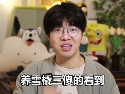 自带闪现的狗子你们见过吗?100m跑两个博尔特的那种!#狗狗 #灵缇犬 #惠比特 #格力犬 #宠物知识 #宠物推荐官 #萌宠出道计划