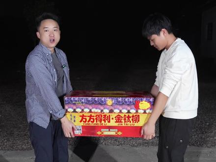 方方得利金钛柳,来看看吧!#恒达烟花 @花炮姐-许愿锦鲤