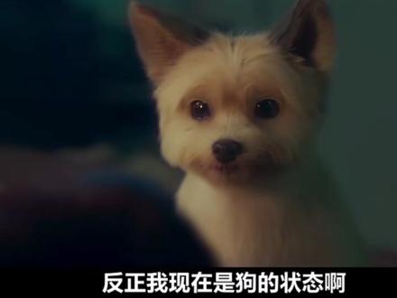 车银优:🆘终于亲到老婆了!!#车银优 #韩剧 #今天也很可爱的狗 #电视剧 @抖音小助手 @DOU+上热门