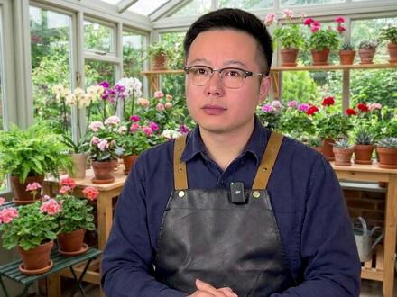 十二生肖,在家里适合养什么花 #养花 #养花小知识 #三农