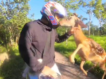 我都给你干冒烟了#茂名 #广东 #白话 #粤语