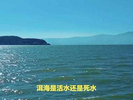 洱海是活水还是死水 #洱海