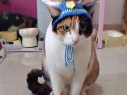 管你这鼠那鼠的,我一伸手就有吃的#米老鼠 #真棒 #二创