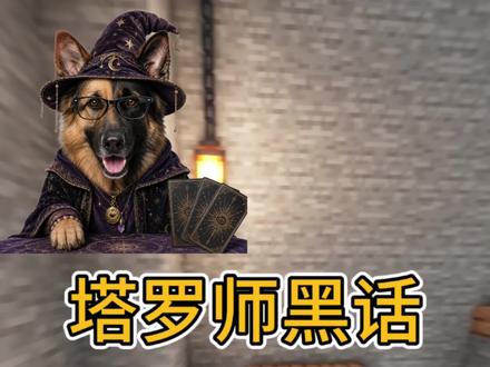 怎么成为高情商塔罗师 #热门 #塔罗牌 #高情商 #边牧 #德牧神