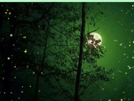 怀君属秋夜,散步咏凉天。
山空松子落,幽人应未眠。#古诗词