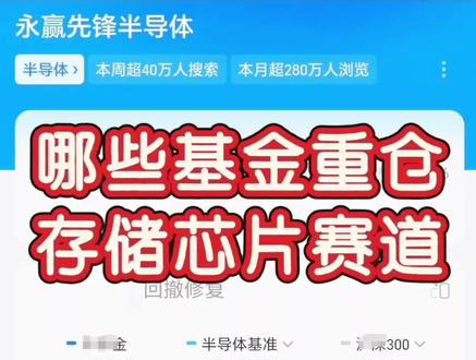 哪些基金重仓存储芯片赛道❓ #基金 #金融知识分享传播正能量