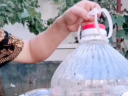 一个大桶加8个矿泉水瓶!十分钟就能做成逮蝇子神器🔥