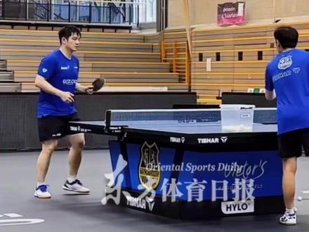 真·提升技术!樊振东练习左手击球#樊振东 #德甲 #乒乓