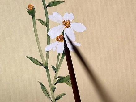 野菊花#国画 @DOU+小助手