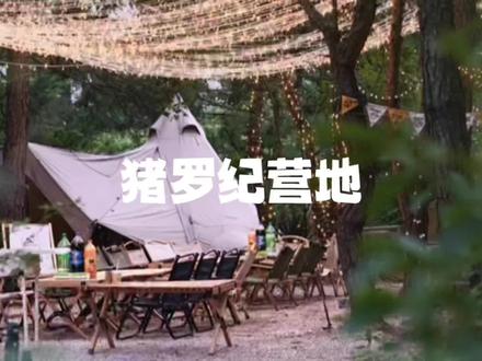 这家营地感觉到位了#露营