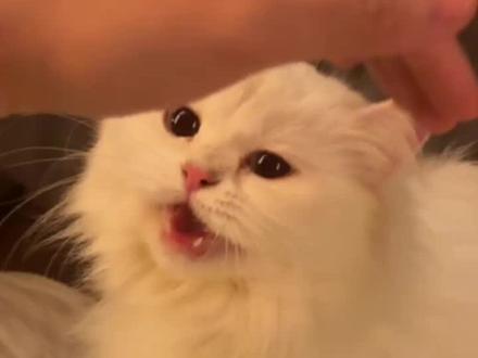 希望3个孕妇都能平安生产❤️