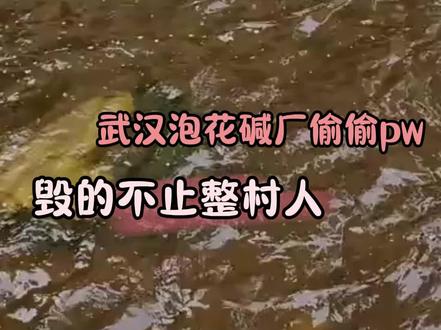 水质问题真的是非常重大的事情啊 希望迎来一个彻底公平的处置#武汉 #社会百态 #泡花碱厂 #癌症 #大数据推荐给有需要的人(cr:@大象新闻 )