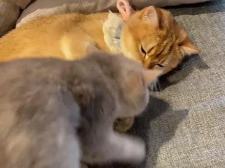 “被你艾特的人 会陪你很久很久”#歌曲兜兜转转