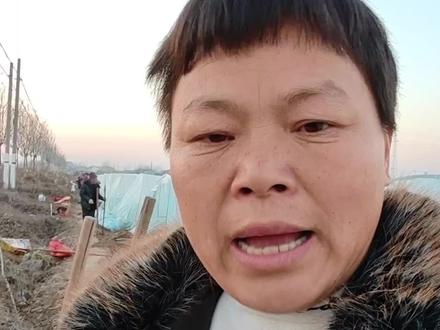 发个两天前的视频吧!三农人需要的是一种精神,加油!#三农 #支持三农扶持三农发展 #三农种植 #每天记录我的农村真实生活 #今日三农爆款