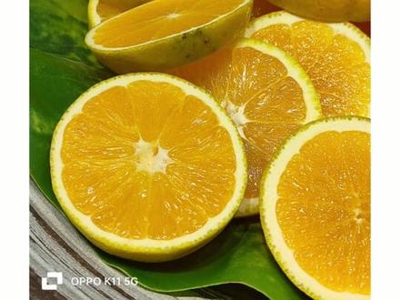 两千元档,普及旗舰影像,oppok11让每一位用户都能体验到拍照的乐趣,其他方面,红外,nfc,双扬,x轴马达,屏下指纹,京东方护眼屏全部拉满,100w快充搭配5000毫安电池,续航各方面都很水桶#数码科技 #手机#OPPOK11#OPPOK11新品发布会#玩转数码