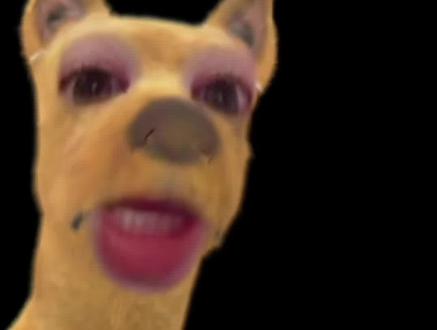 下海的被整治!放弃内🐠值得吗!? #娱乐圈 #八卦 #吃瓜 #吐槽 #离谱