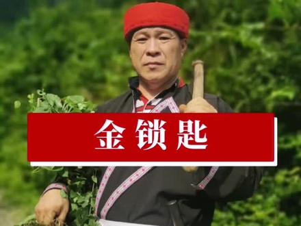 金锁匙,学名千金藤,结的果实是红色的,根很苦。不要小看,它在民间的价值很高#农村生活