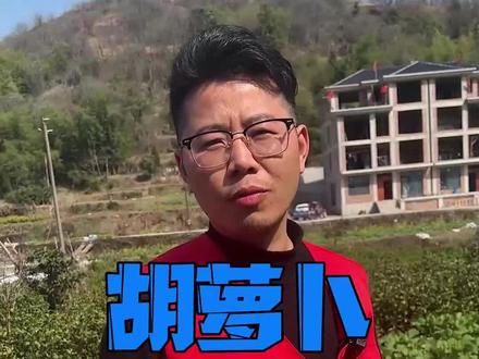 #胡萝卜 还有那些保存方法?#蔬菜