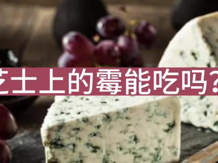 芝士上的霉能不能吃呢?|外刊原声朗读(2024年4月21日)