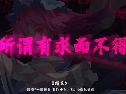 #转载 南辞秋巷《精卫1.2x》dj版