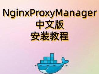 NginxProxyManager中文版安装教程 #NginxProxyManager #npm #反向代理