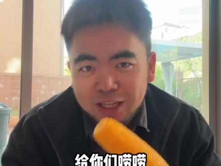 大过年的遇到个作案团伙,差点白干半年 #老A生活#道德与法治5