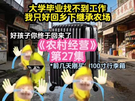 《农村经营》|第27集#猫meme #猫meme日常