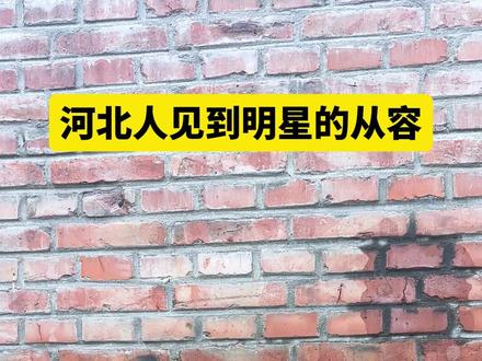 河北人见到明星的从容 这是属于河北人的得劲