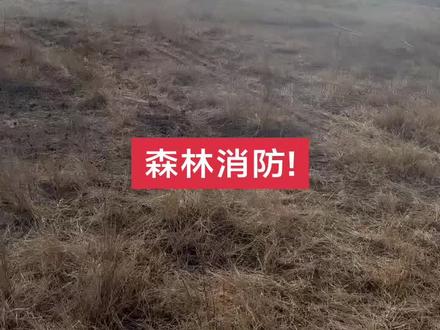 无人机森林消防#无人机森林防火